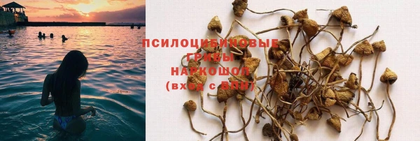 каннабис Алзамай
