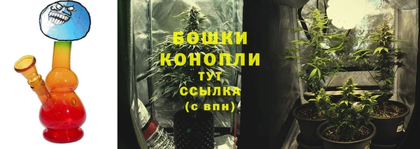 дурь Струнино