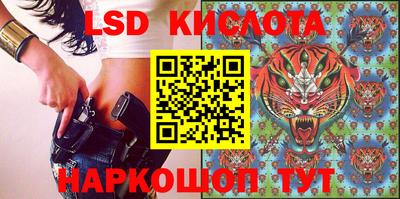 шишки Апшеронск