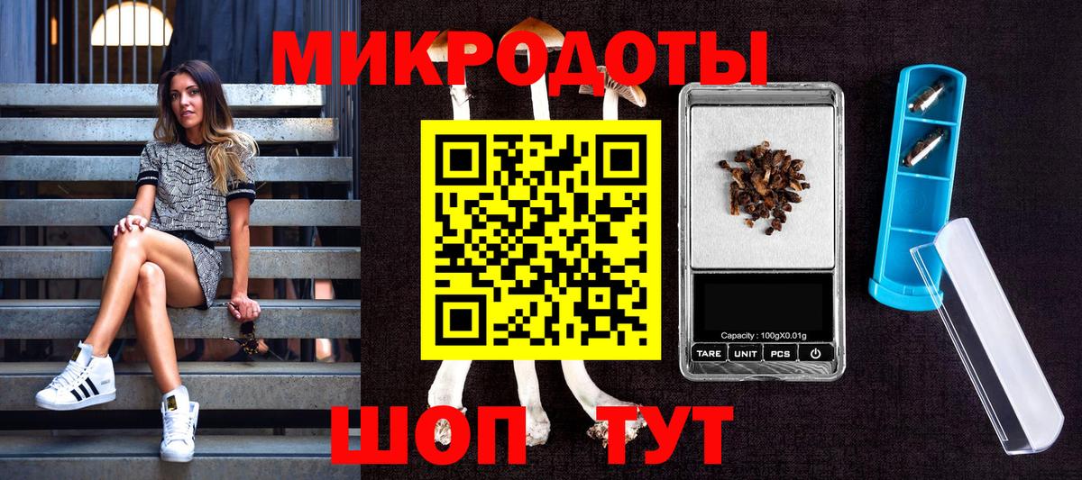 Галлюциногенные грибы мухоморы Асино
