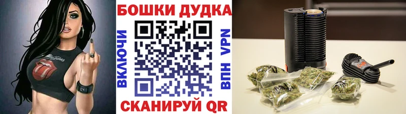 Марихуана SATIVA & INDICA Асино
